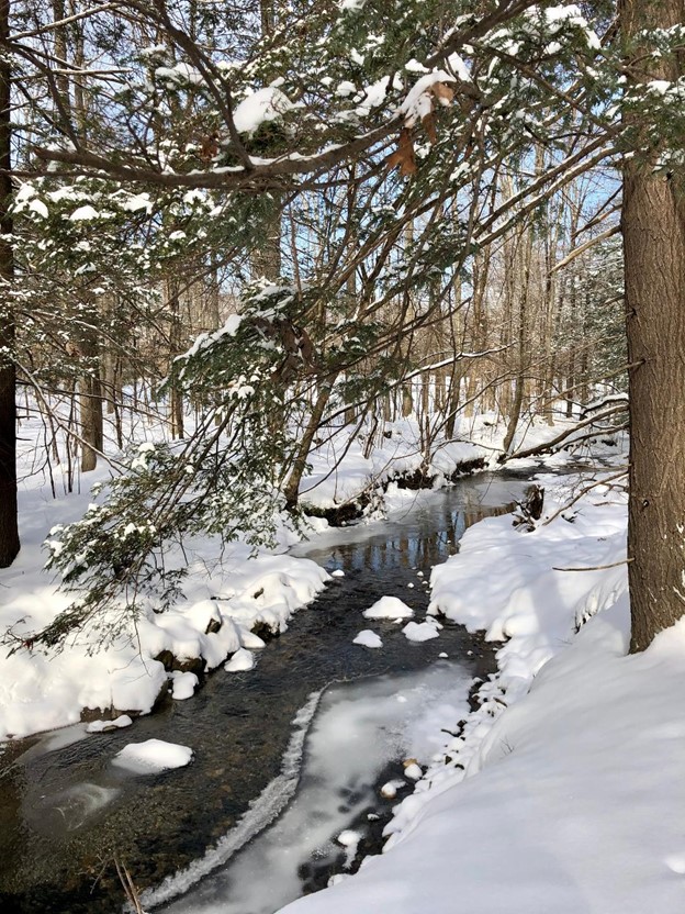 Stream in winter at Mallory Reserve Ct